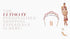 A'el Este - Your Way. The ultimate personalised shopping experience is here! - A’EL ESTE